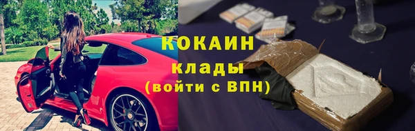 прущие крисы Белокуриха